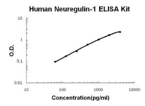 BSBTEK1378 - []ANTI-SIRT6 ANTIBODY