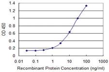 Anti-ESAM Mouse Monoclonal Antibody [clone: 1G8]