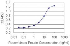 Anti-ARFGEF1 Mouse Monoclonal Antibody [clone: 3E11]