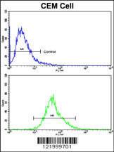 Anti-KLRD1 Rabbit Polyclonal Antibody (FITC (Fluorescein))