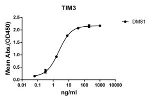 ELISA plate pre-coated by 2 µg/ml (100 µl/well) Recombinant Human TIM 3 Protein (Fc Chimera 6xHis Tag) (A318378) can bind Anti-TIM 3 Antibody [DM81] - Azide free (A317378) in a linear range of 0.32-40 ng/ml