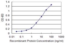 Anti-MCM3 Mouse Monoclonal Antibody [clone: 4F7]