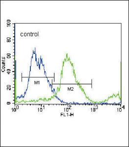 Anti-SLC36A1 Rabbit Polyclonal Antibody (AP (Alkaline Phosphatase))