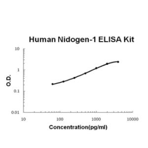 BSBTEK0856 - HUMAN NIDOGEN-1/ENTACTIN/NID-1 PICOKINE