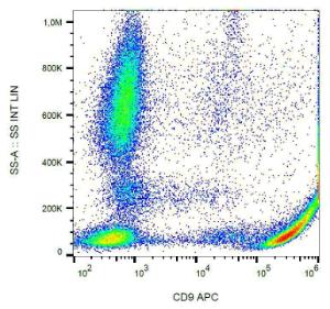 Anti-CD9 antibody