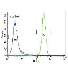 Anti-CSF1R Rabbit polyclonal antibody