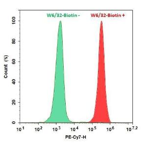 Rpe-cy7-streptavidin 16916 100 µg