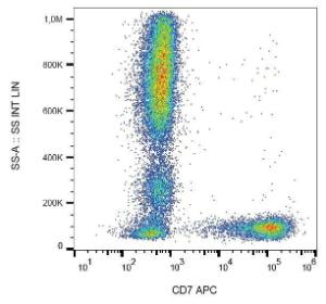 Antibody anti-CD7 MEM-186 APC