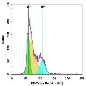 Cell meter/trade fl 22860