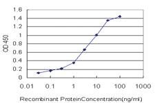 Anti-NKIRAS1 Mouse Monoclonal Antibody [clone: 2A7]