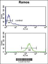 Anti-C7 Rabbit Polyclonal Antibody