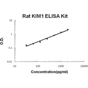 BSBTEK0882 - RAT KIM1 PICOKINE ELISA KIT