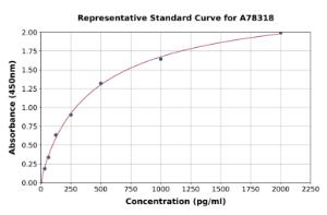 Representative standard curve for Human IL37 ELISA kit (A78318)