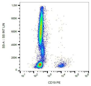 Surface staining of human peripheral blood leukocytes with Anti-CD19 Antibody (A86113)