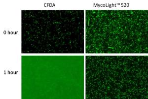 Mycoli ght/trade liv 22409