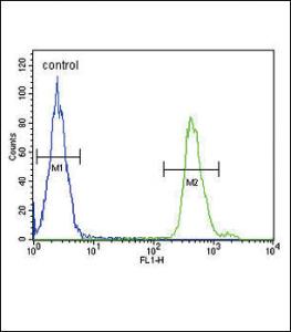 Anti-SMAD3 Rabbit Polyclonal Antibody (FITC (Fluorescein Isothiocyanate))