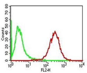 Flow cytometric analysis of PBMCs labeling Adipophilin with Anti-Adipophilin Antibody [ADFP/1365] (Red). Isotype Control (Green)