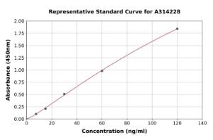 Representative standard curve for human alpha 1 Fetoprotein ELISA kit (A314228)