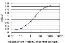 Anti-EIF2AK2 Mouse Monoclonal Antibody [clone: 1D11]