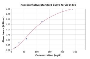 Representative standard curve for mouse Rln3 ELISA kit (A314230)