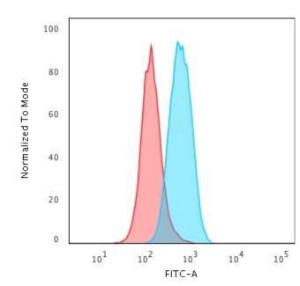 Flow cytometric analysis of K562 cells using Anti-c-Myc Antibody [MYC2895R] followed by Goat Anti-Mouse IgG (CF&#174; 488) (Blue). Isotype Control (Red).