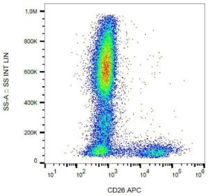 Surface staining of human peripheral blood cells with Anti-CD26 Antibody (A86146)