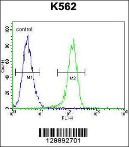 Anti-MYO19 Rabbit Polyclonal Antibody (APC (Allophycocyanin))