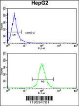 Anti-CD302 Rabbit Polyclonal Antibody (PE (Phycoerythrin))