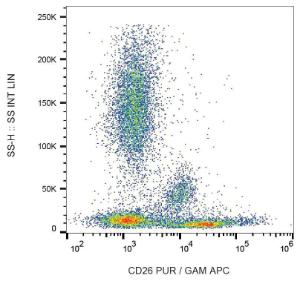 Anti-CD26 Mouse Monoclonal Antibody [Clone: BA5b]