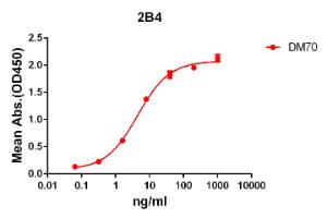 ELISA plate pre-coated by 2 µg/ml (100 µl/well) Recombinant Human 2B4 Protein (Fc Chimera 6xHis Tag) (A318398) can bind Anti-2B4 Antibody [DM70] - Azide free (A317394) in a linear range of 1-100 ng/ml