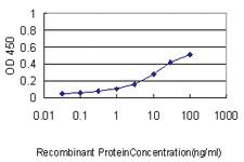 Anti-CCT7 Mouse Monoclonal Antibody [clone: 1D6]