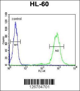 Anti-CD69 Rabbit Polyclonal Antibody (AP (Alkaline Phosphatase))