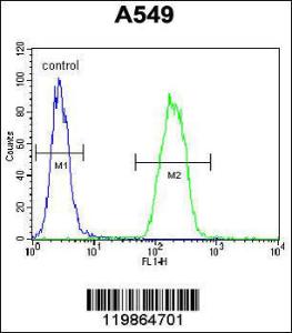 Anti-SNX24 Rabbit Polyclonal Antibody (APC (Allophycocyanin))