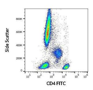 Anti-CD4 antibody