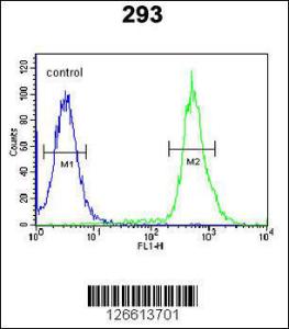 Anti-TAMM41 Rabbit Polyclonal Antibody (PE (Phycoerythrin))