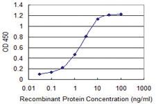 Anti-CIR1 Mouse Monoclonal Antibody [clone: 2E11]