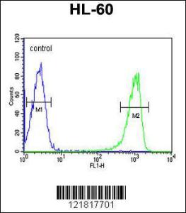 Anti-TNFSF11 Rabbit Polyclonal Antibody (APC (Allophycocyanin))