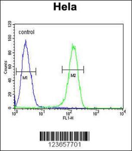 Anti-ADCY4 Rabbit Polyclonal Antibody (APC (Allophycocyanin))