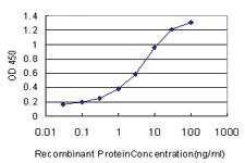 Anti-DIAPH1 Mouse Monoclonal Antibody [clone: 5A8]