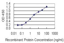 Anti-RAB11FIP3 Mouse Monoclonal Antibody [clone: 6H6]