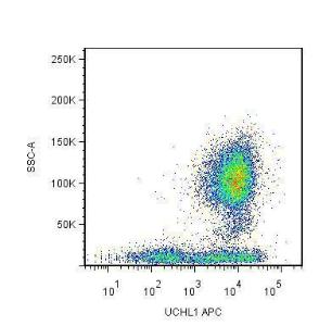 Anti-CD45R0 antibody