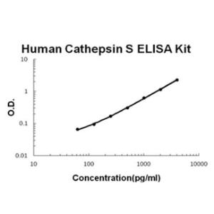 BSBTEK0961 - HUMAN CATHEPSIN S PICOKINE ELISA KIT