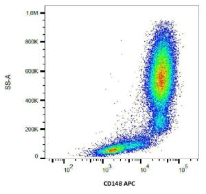 Antibody anti-CD148 MEM-CD14805 APC