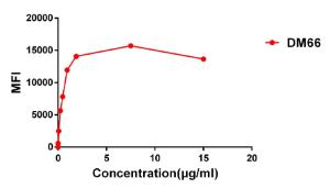 Flow cytometry data of serially titrated Anti-CD137 Antibody [DM66] - Azide free (A317400) on Expi 293 cell line transfected with human 4-1BB. The Y-axis represents the mean fluorescence intensity (MFI) while the X-axis represents the concentration of IgG used