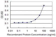 Anti-SEPT1 Mouse Monoclonal Antibody [clone: 1F12]