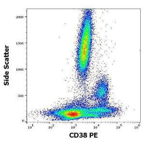 Antibody anti-CD38 HIT2 PE