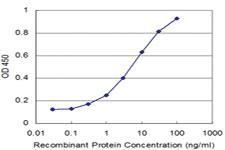 Anti-DOCK4 Mouse Monoclonal Antibody [clone: 1B3]