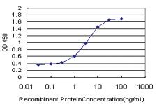 Anti-ARMCX1 Mouse Monoclonal Antibody [clone: 6E10]