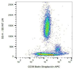 Surface staining of human peripheral blood with Anti-CD38 Antibody (A86193).&nbsp;