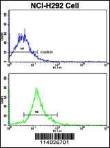 Anti-SOX2 Rabbit Polyclonal Antibody